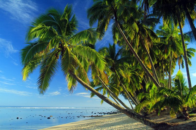 Beach on the Cook Islands